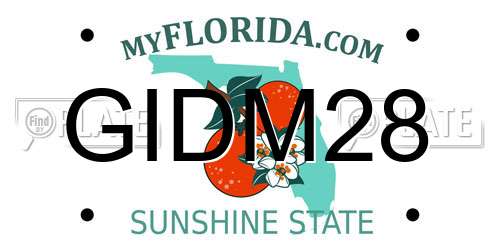 GIDM28 Florida License Plate
