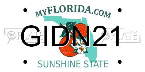 GIDN21 Florida License Plate