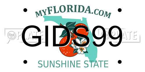 GIDS99 Florida License Plate