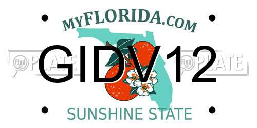 GIDV12 Florida License Plate