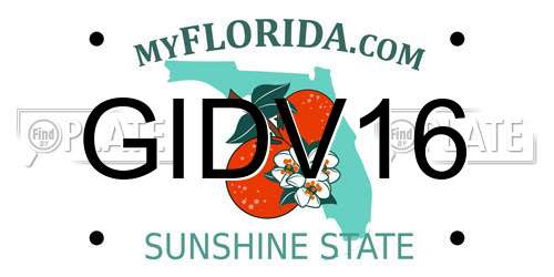 GIDV16 Florida License Plate