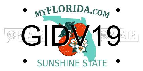 GIDV19 Florida License Plate