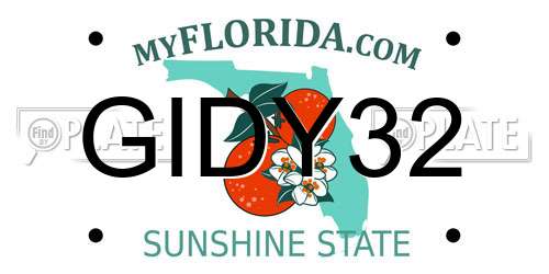 GIDY32 Florida License Plate