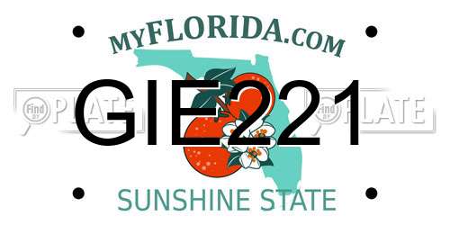 GIE221 Florida License Plate