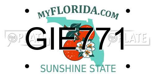 GIE771 Florida License Plate