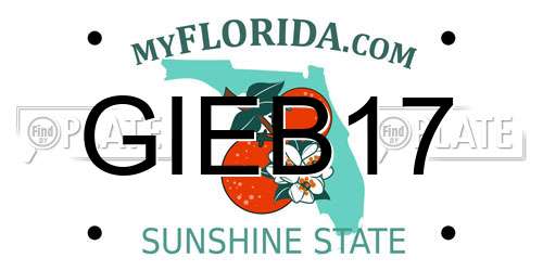 GIEB17 Florida License Plate