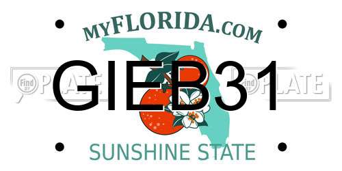 GIEB31 Florida License Plate