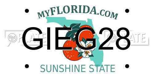 GIEG28 Florida License Plate