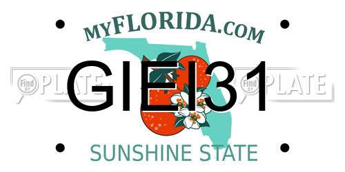 GIEI31 Florida License Plate