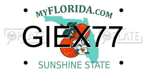 GIEX77 Florida License Plate