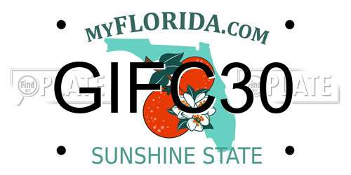 GIFC30 Florida License Plate