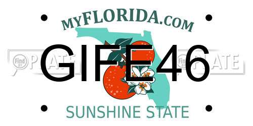 GIFE46 Florida License Plate