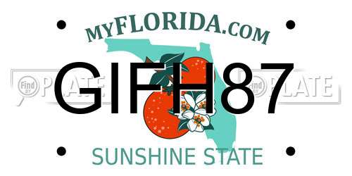 GIFH87 Florida License Plate