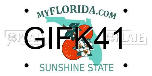 GIFK41 Florida License Plate