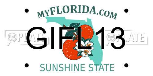 GIFL13 Florida License Plate