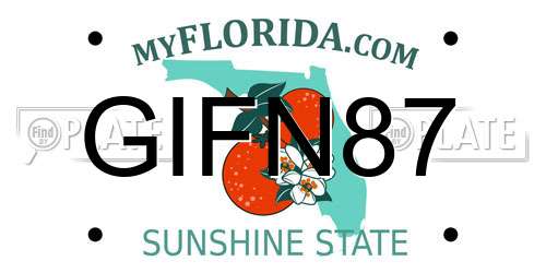 GIFN87 Florida License Plate