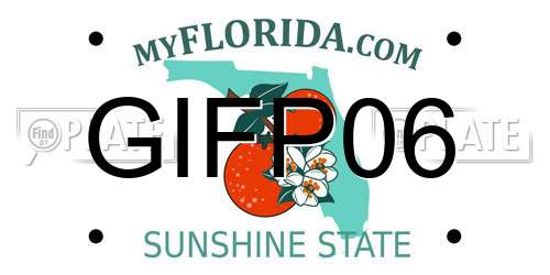GIFP06 Florida License Plate
