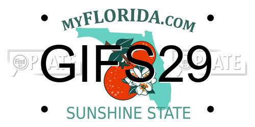 GIFS29 Florida License Plate