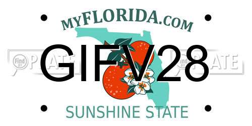 GIFV28 Florida License Plate
