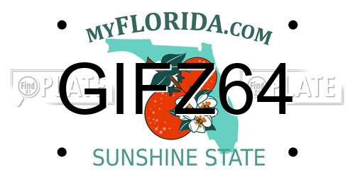 GIFZ64 Florida License Plate