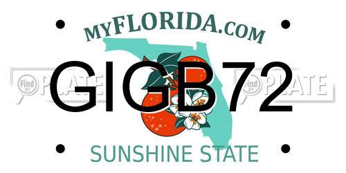 GIGB72 Florida License Plate