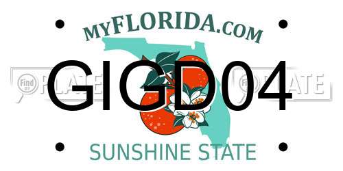 GIGD04 Florida License Plate