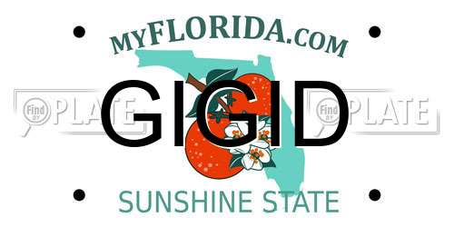 GIGID Florida License Plate