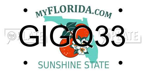 GIGQ33 Florida License Plate