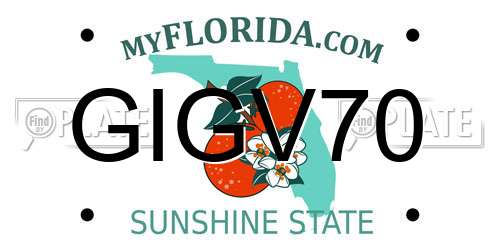 GIGV70 Florida License Plate