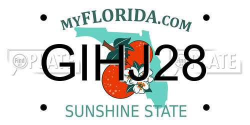 GIHJ28 Florida License Plate
