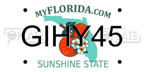 GIHY45 Florida License Plate
