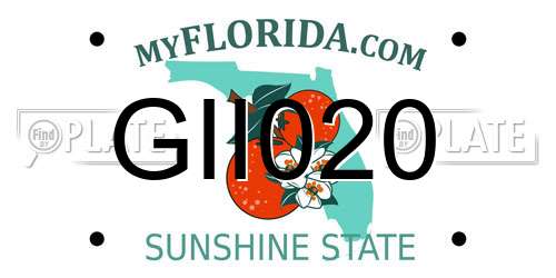 GII020 Florida License Plate