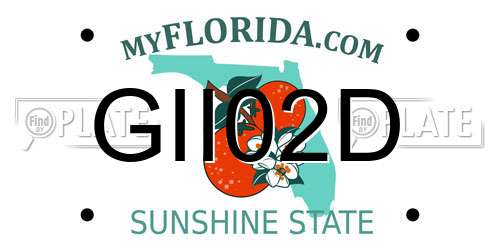 GII02D Florida License Plate
