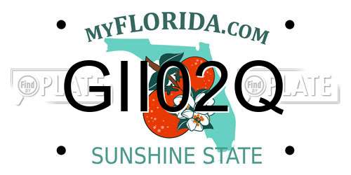 GII02Q Florida License Plate