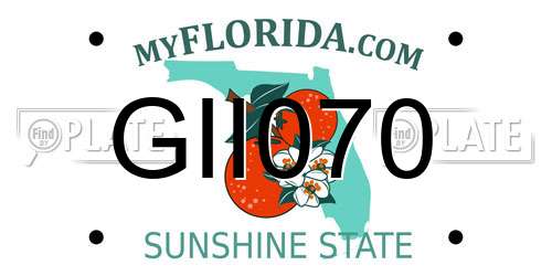 GII070 Florida License Plate