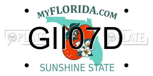 GII07D Florida License Plate