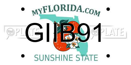 GIIB91 Florida License Plate