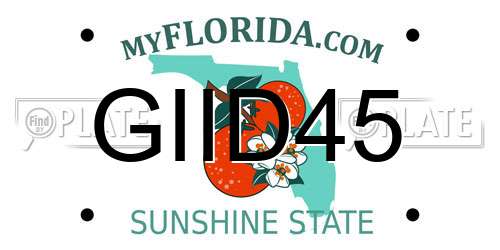 GIID45 Florida License Plate