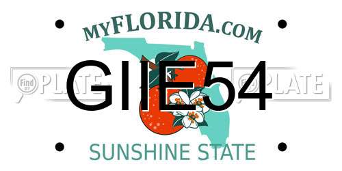 GIIE54 Florida License Plate