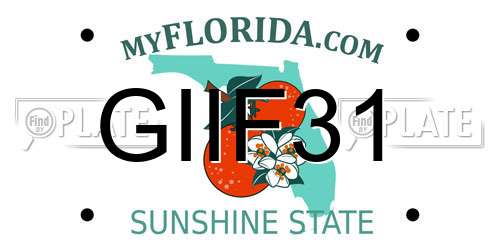 GIIF31 Florida License Plate