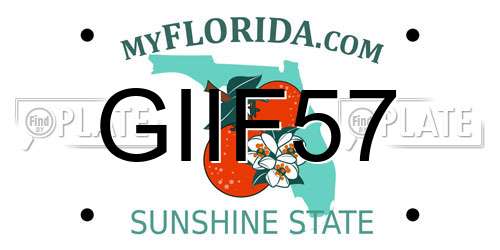 GIIF57 Florida License Plate