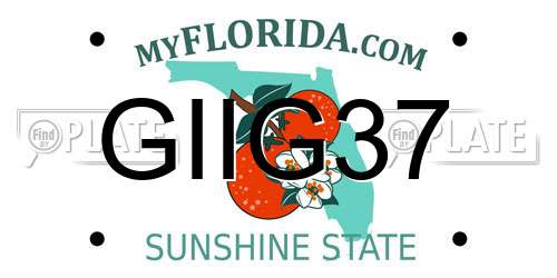 GIIG37 Florida License Plate
