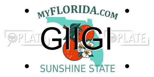 GIIGI Florida License Plate