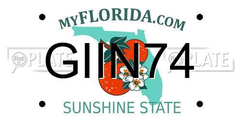 GIIN74 Florida License Plate