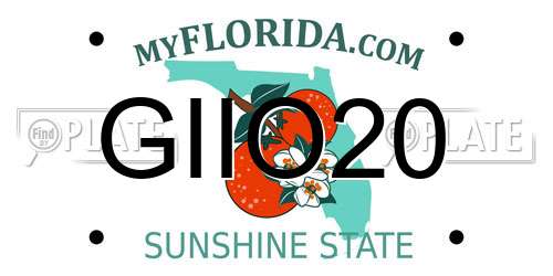 GIIO20 Florida License Plate