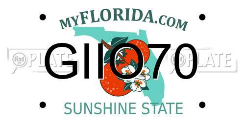 GIIO70 Florida License Plate