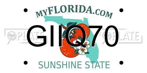 GIIQ70 Florida License Plate
