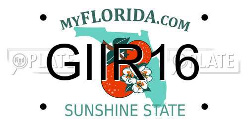 GIIR16 Florida License Plate