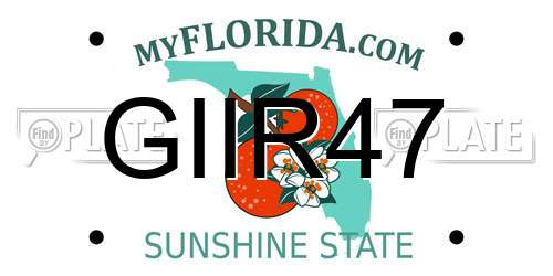 GIIR47 Florida License Plate