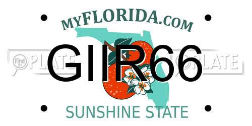 GIIR66 Florida License Plate